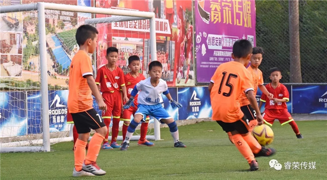 足球锦标赛.webp.jpg
