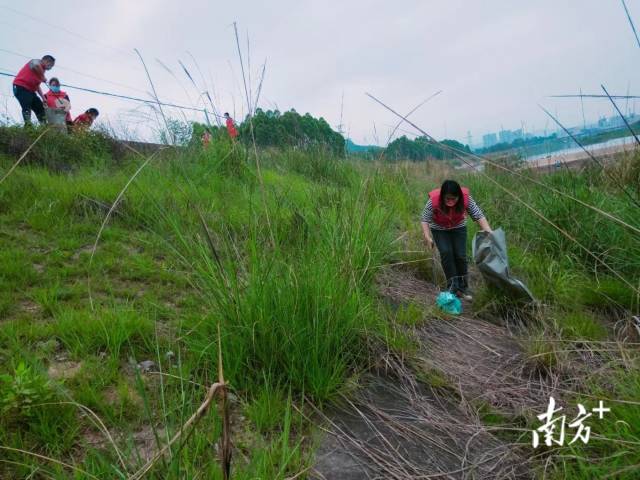 石角镇人大组织人大代表和志愿者100多人次开展清河行动。通讯员供图