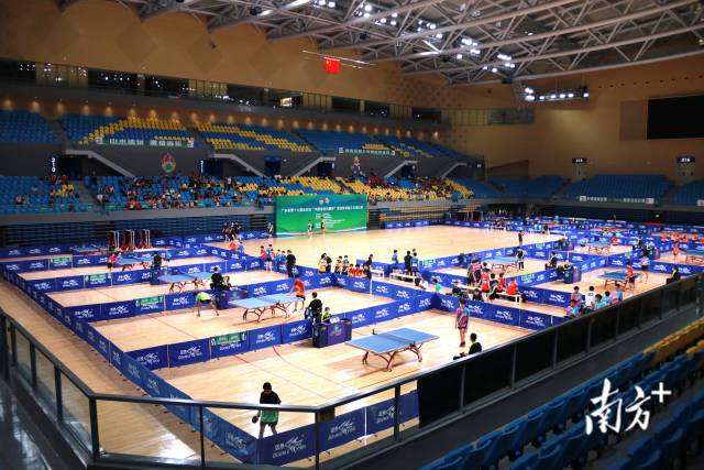 本届省运会乒乓球赛事于7月31日开赛，迎来全省18支地市队共375名年轻运动员参与。陈立楷 摄 