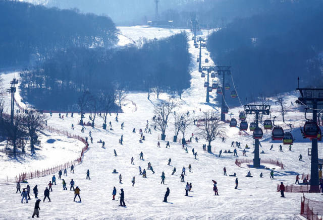 2023年1月30日，游客在吉林万科松花湖度假区滑雪。新华社记者 颜麟蕴 摄