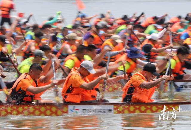 6月3日上午，龙舟竞渡珠海黄杨河，队员们奋力划桨。南方+记者 关铭荣 摄