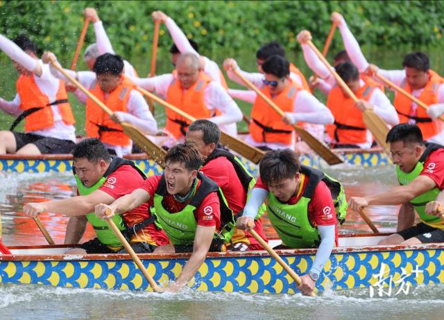 6月10日，在珠海市平塘河，队员们奋勇争先。南方+记者 关铭荣 摄